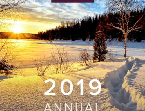 2019 Annual Report – Wasatch Back Market Overview